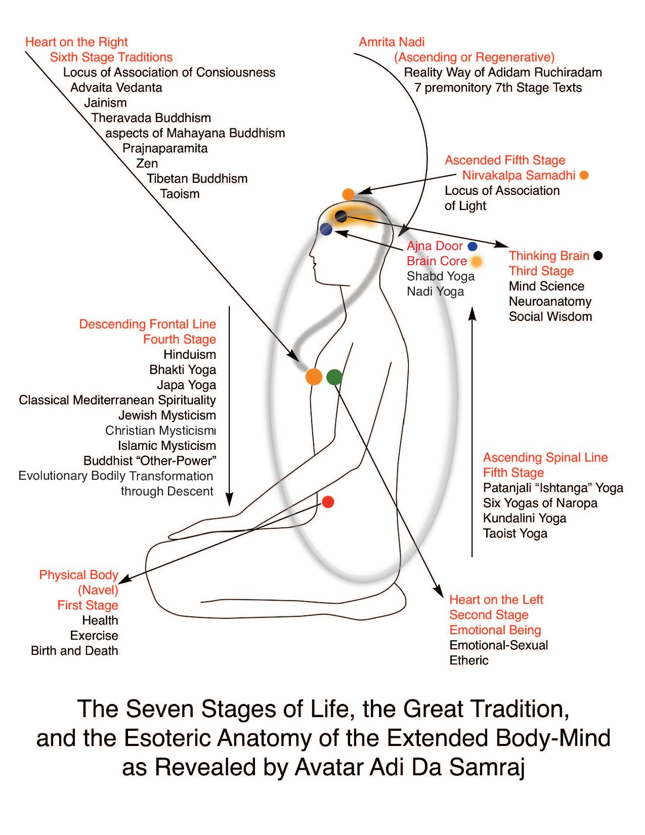 Chart: Esoteric Anatomy, the Stages of Life, and the Traditions within ...