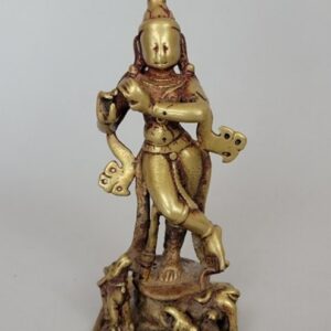 Krishna Venugopal with cows, including suckling