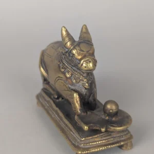 Nandi with perpendicular lingam